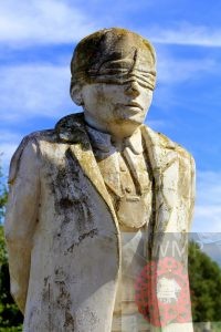 IMG_7941